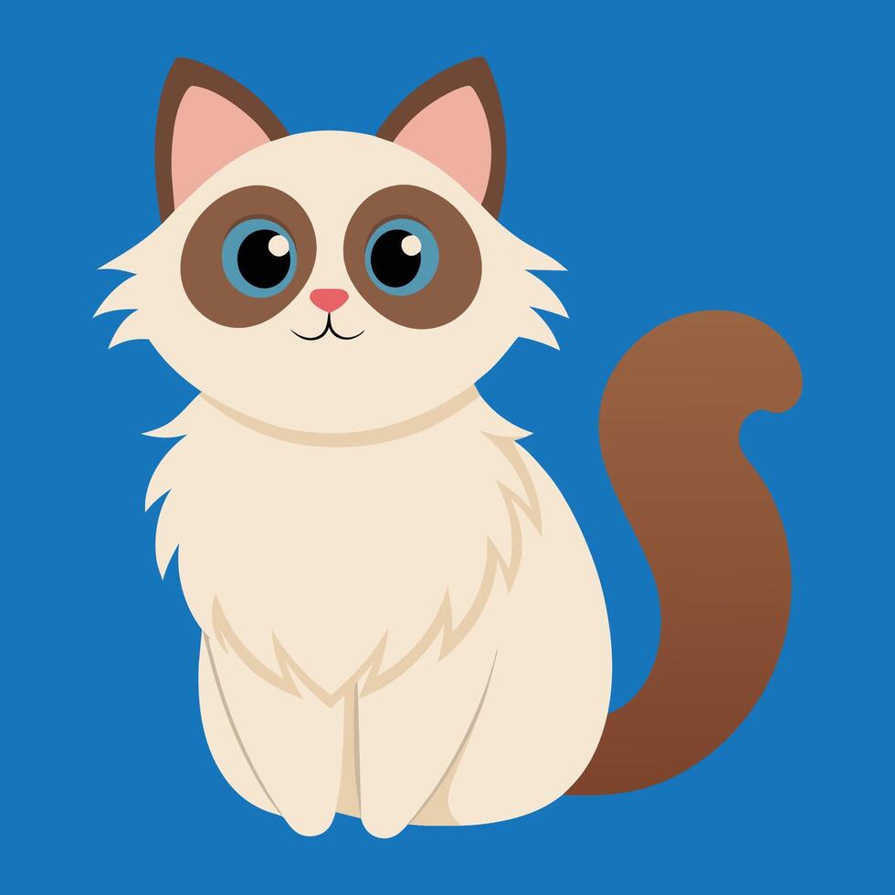 ragdoll cat cartoon animal illustration vector