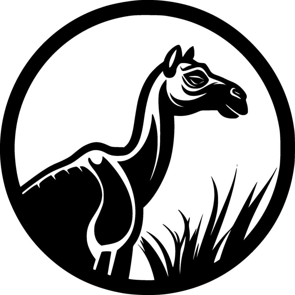 Camel, Black and White illustration vector