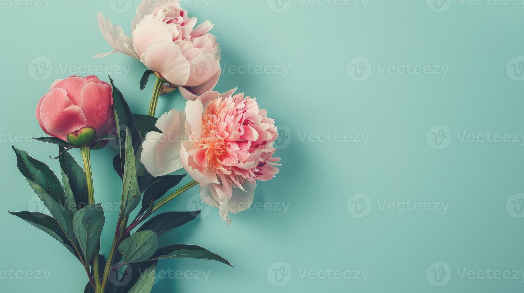 Beautiful peonies on blue background. Flat lay with space for text. A card for Easter, Women's Day, Mother's Day, Valentine's Day, Birthday. photo