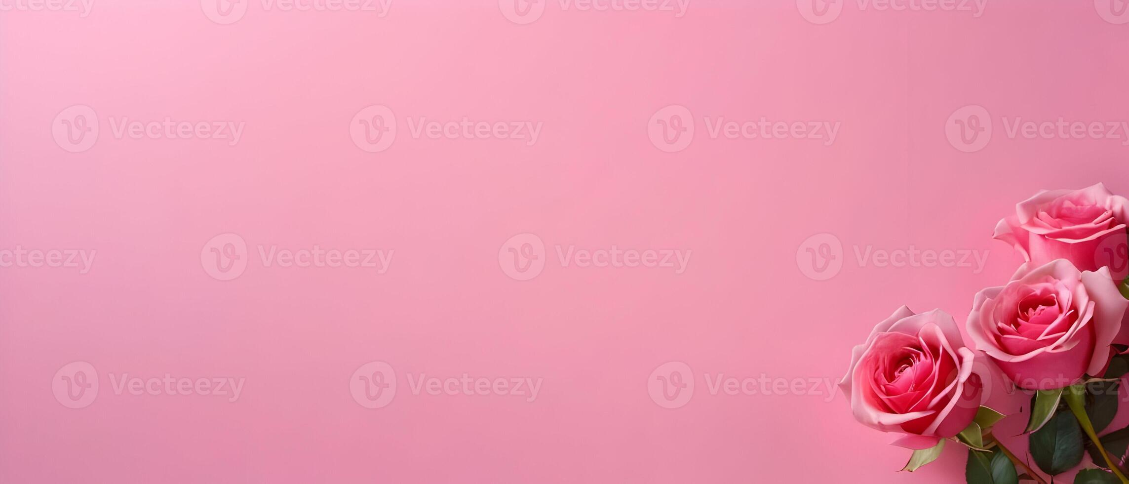 Pink roses on pink background. Valentine's day card design background with copy space photo