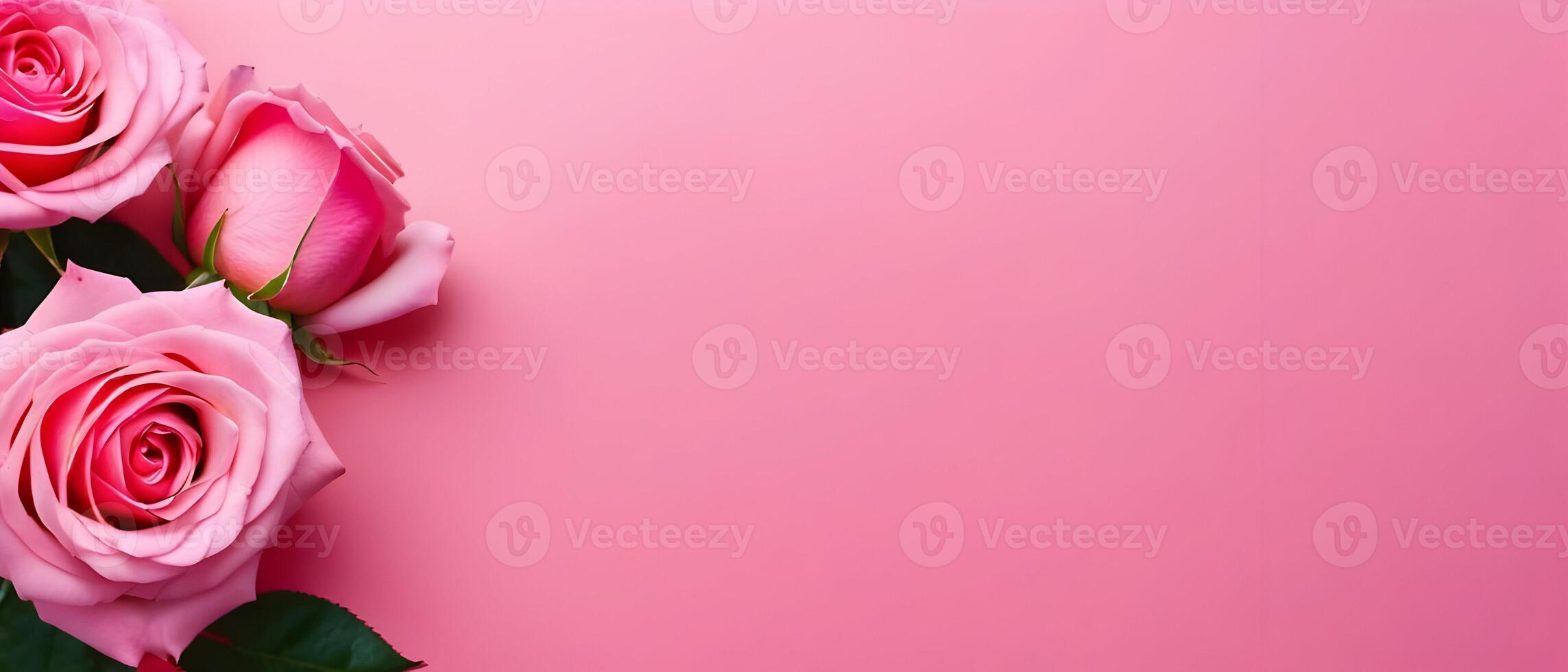 Pink roses on pink background. Valentine's day card design background with copy space photo