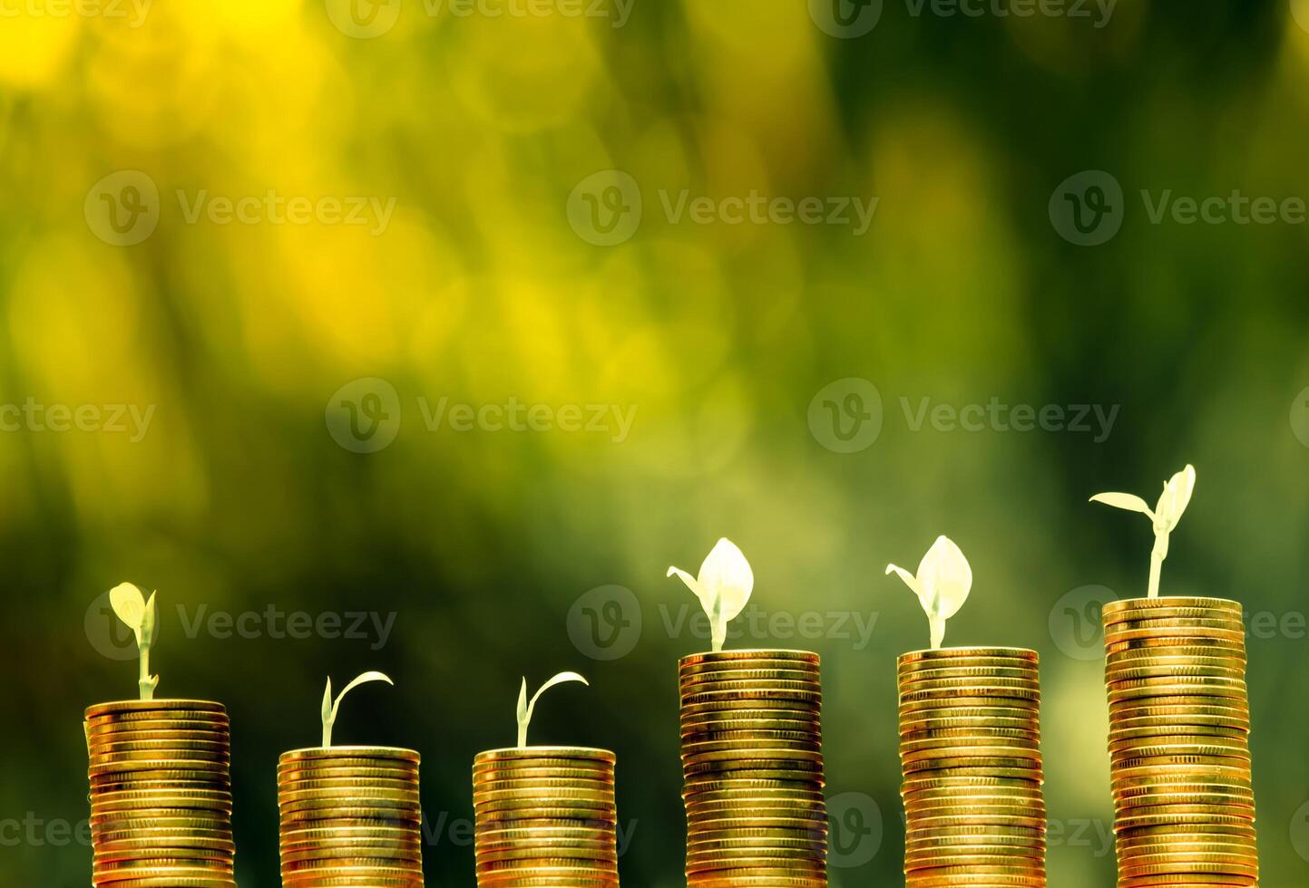 Business Finance and Money concept,Save money for prepare in the future.tree growing on coin of stacking gold coins with green bokeh background photo
