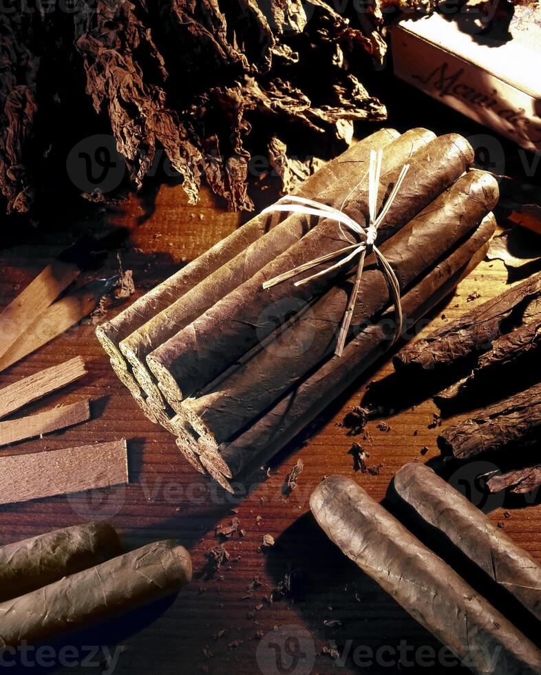 Cuban cigars, considered the best in the hierarchy of smoking and the pleasure of smoking. photo