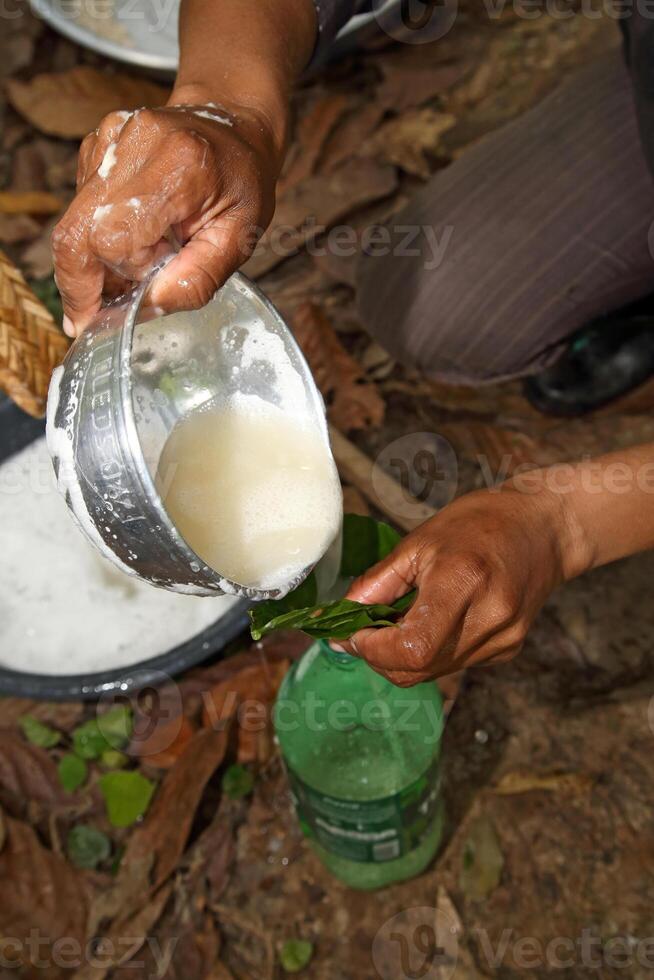 Pititi, type of mesh made from dry straw to extract honey from cocoa photo