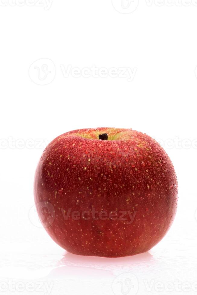 red wet Fuji apple on white background photo