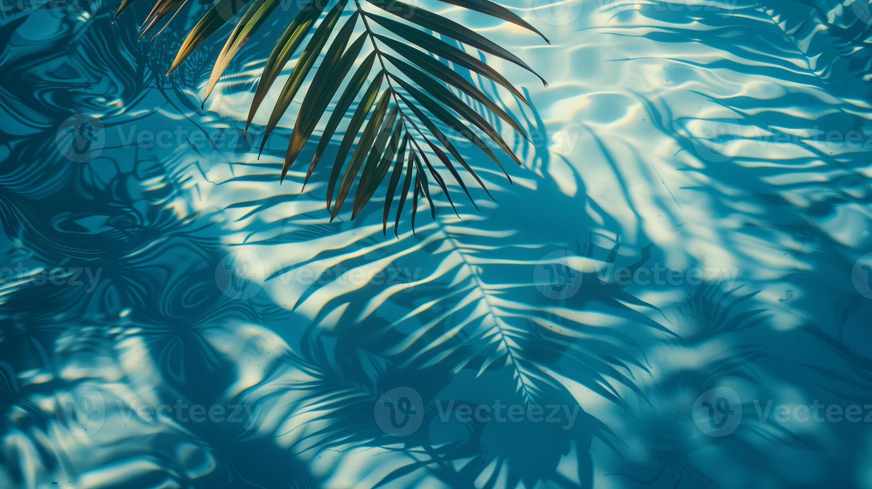 A blue palm leaves reflected in the water. Tropical leaf shadow on water surface. Shadow of palm on blue water. Beautiful abstract background photo