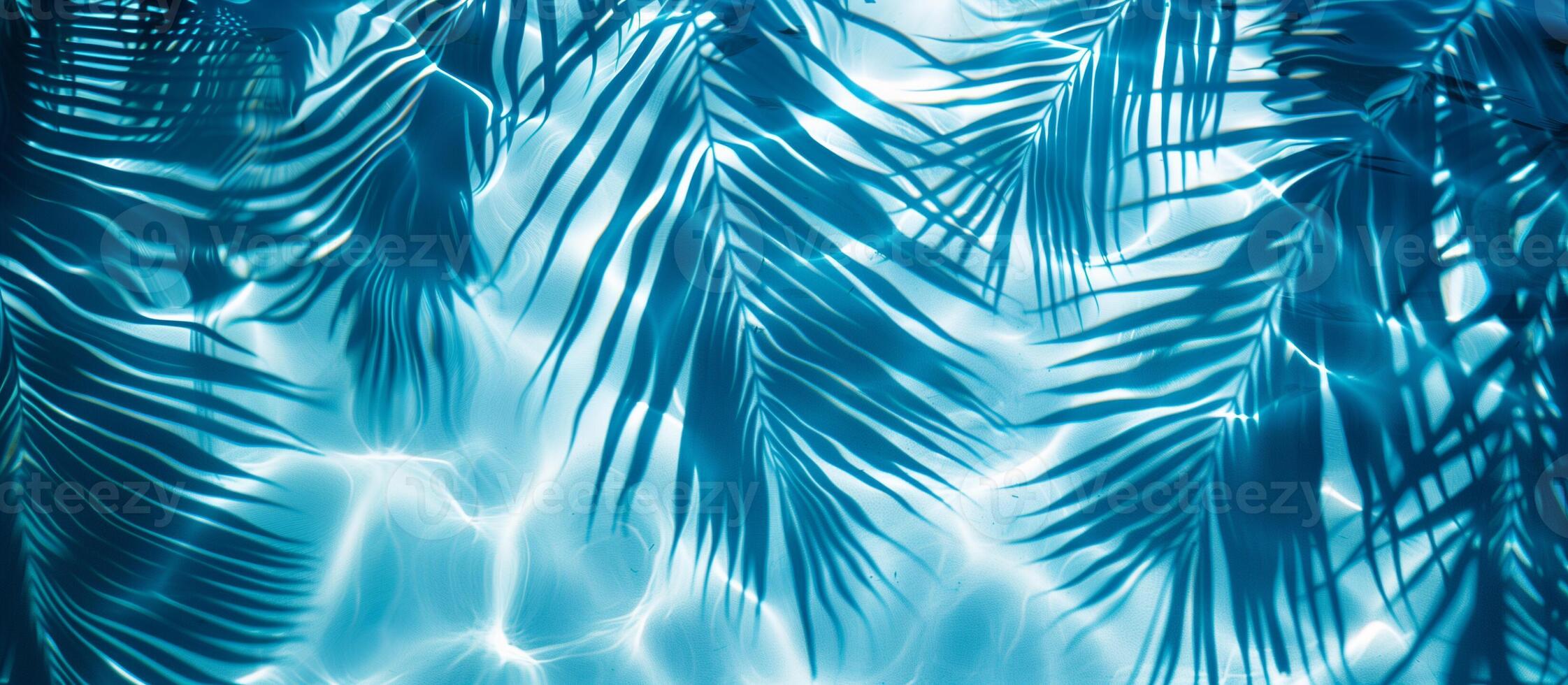 A blue leafy background with a palm tree in the foreground photo