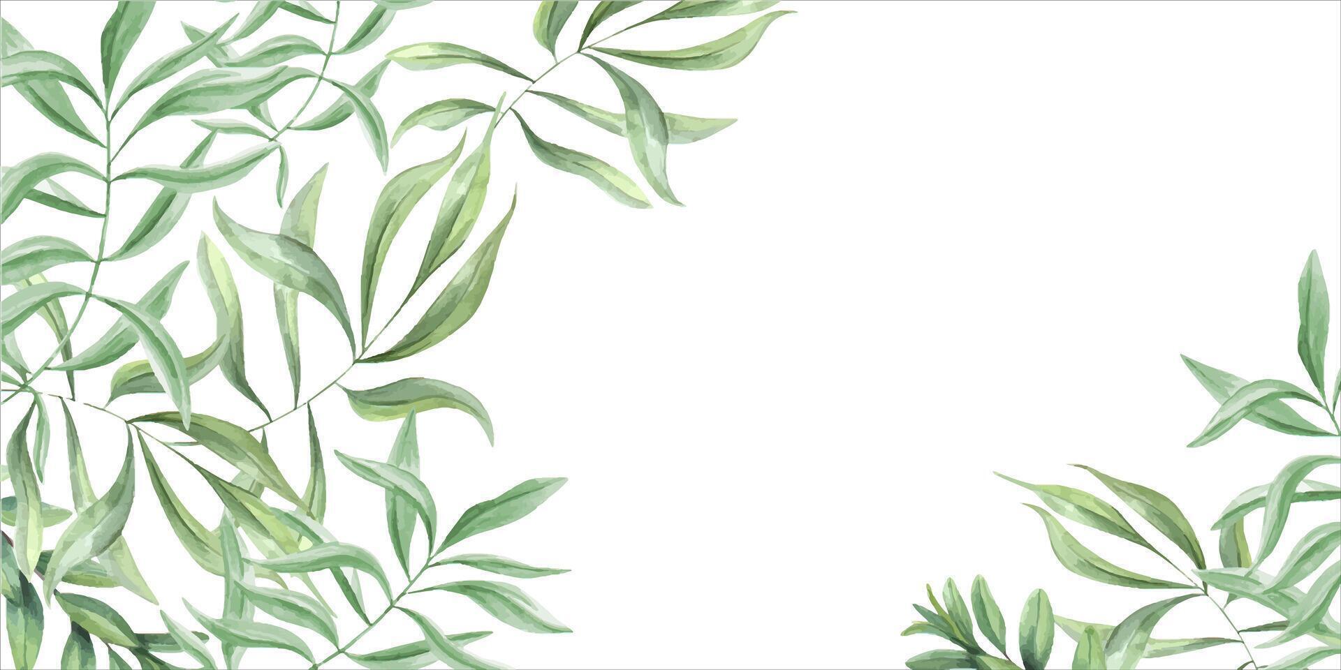 Green plants. Oleander branches. Template with olive leaves. Horizontal frame with copy space for text. Watercolor illustration. Floral tropical design for cards, wedding party invitations. vector