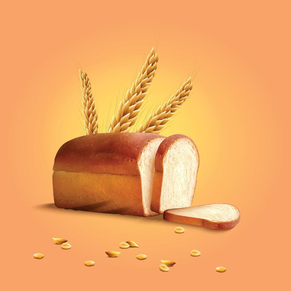 Realistic Bread and, oat,cereal with seeds. Agriculture vector