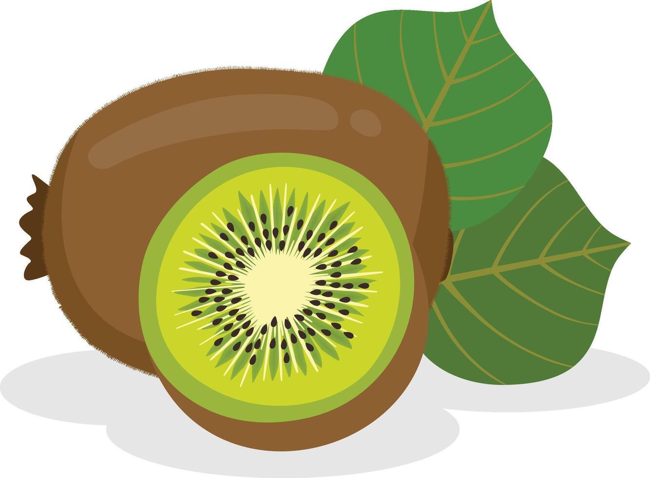 Fresh kiwi with green leaves vector