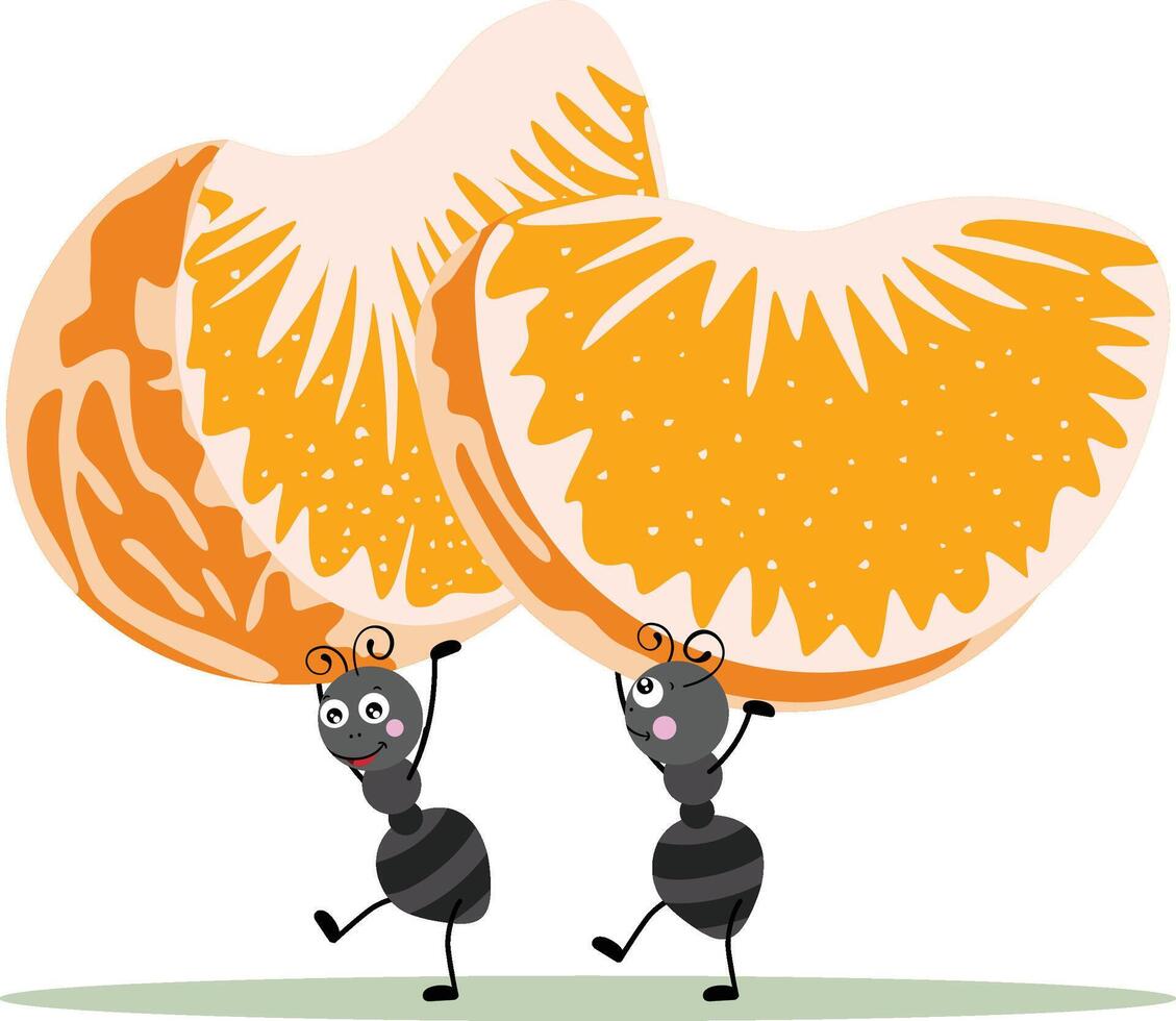 Two ants carrying a fresh segments of orange vector