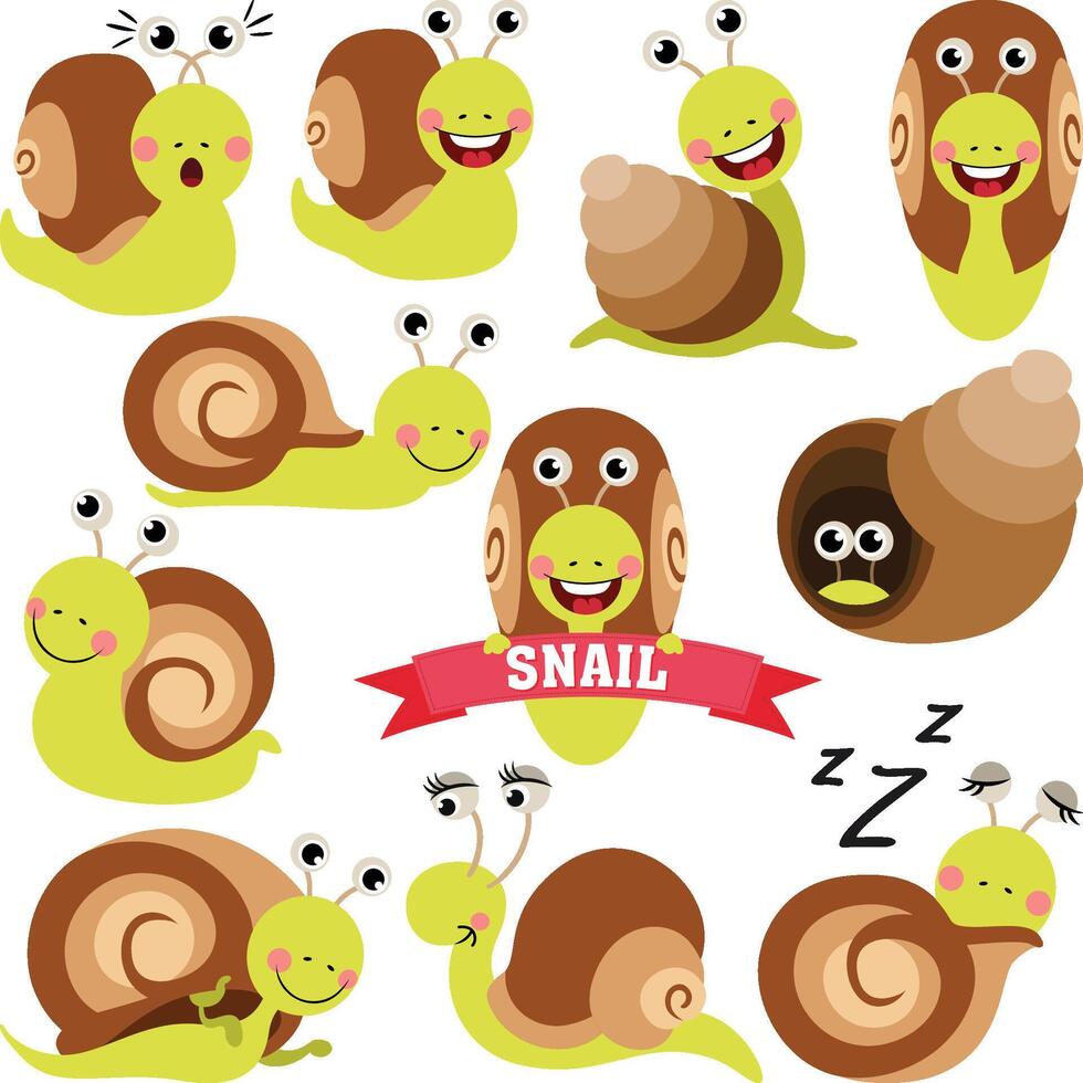 Set digital collage of cute snail vector