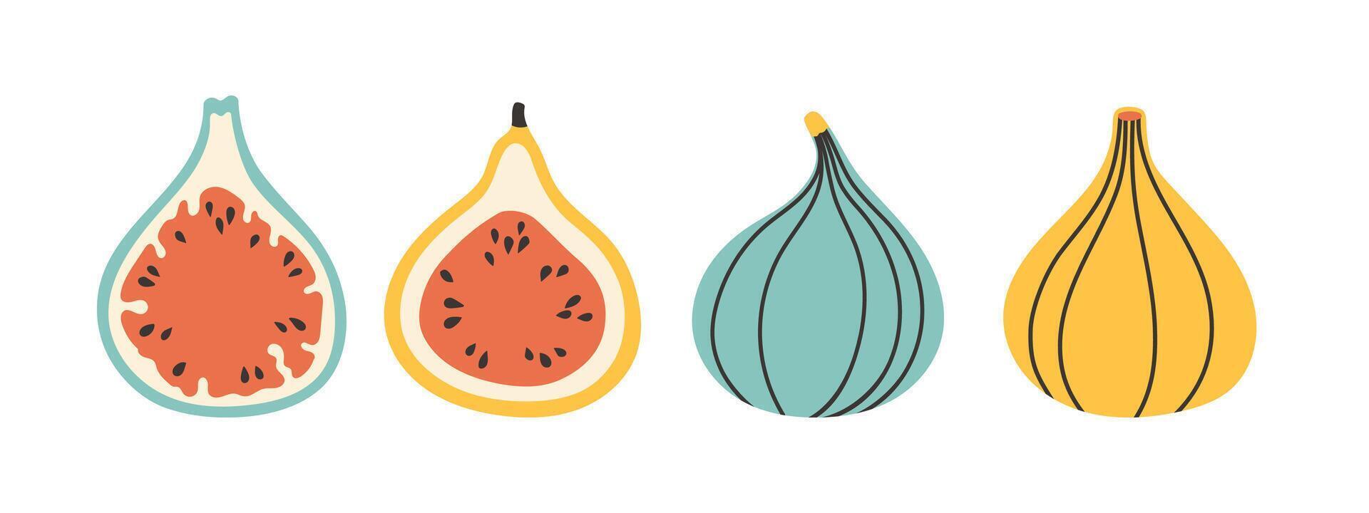 Set of abstract fig. Simple fig. Tropical fruit collection design for interior, poster, cover, banner. vector