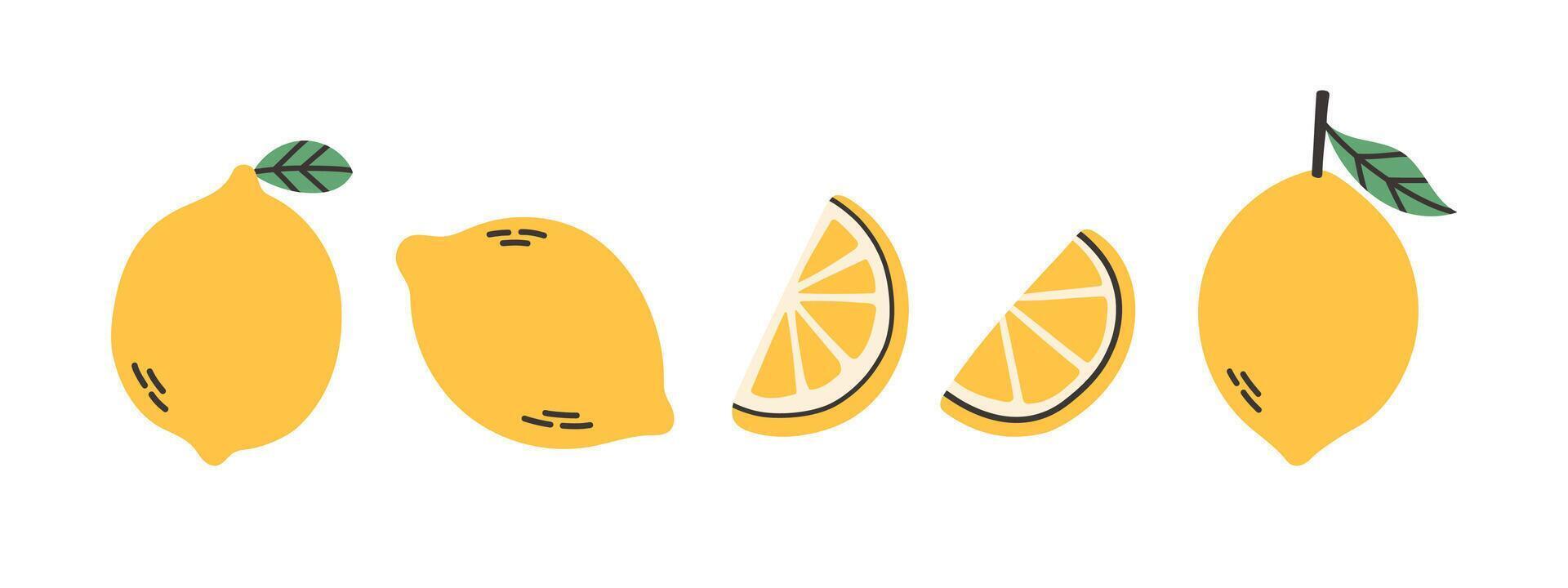 Set of abstract lemon. Simple lemon. Tropical fruit collection design for interior, poster, cover, banner. vector