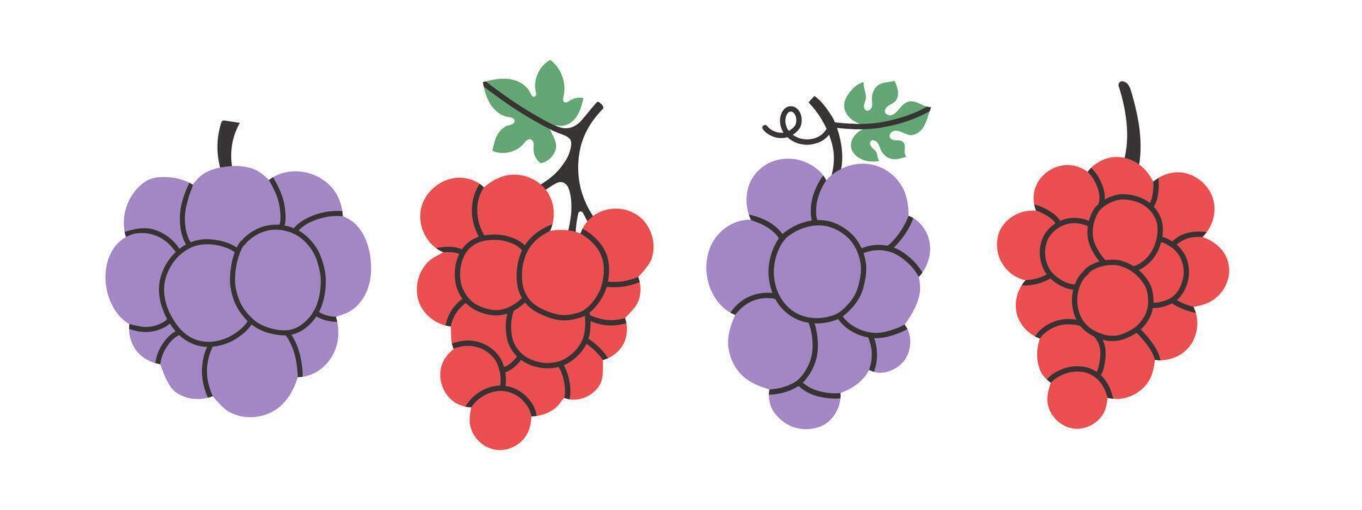 Set of abstract grape. Simple grape. Tropical fruit collection design for interior, poster, cover, banner. vector