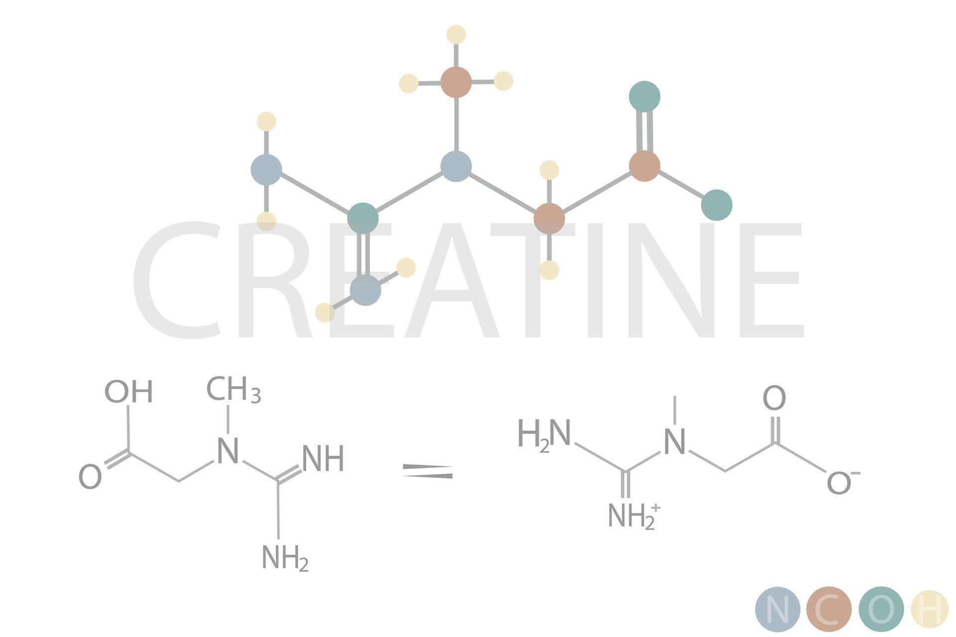 creatine molecular skeletal chemical formula 43225418 Vector Art at Vecteezy