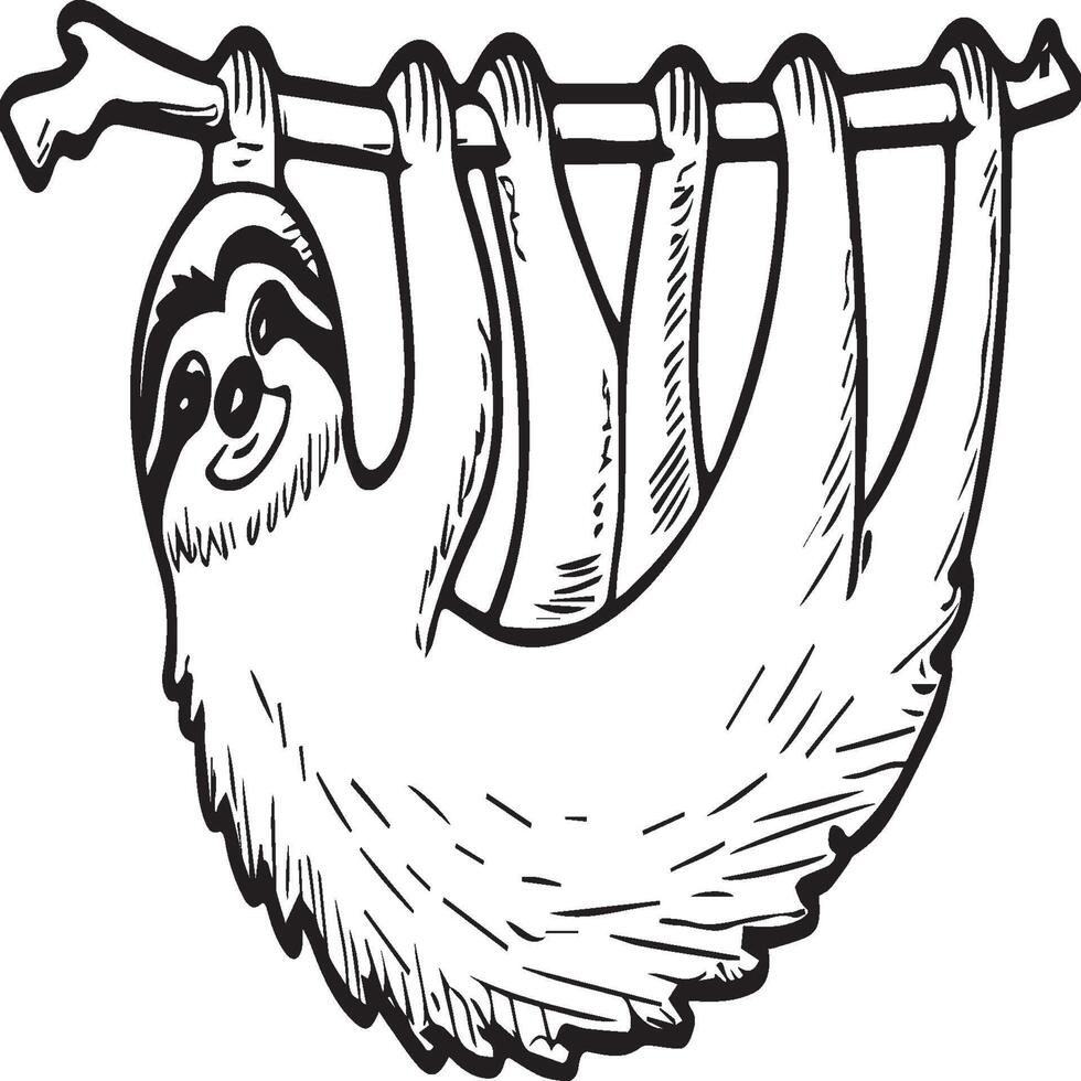 Sloth coloring pages. Sloth animal outline for coloring book vector