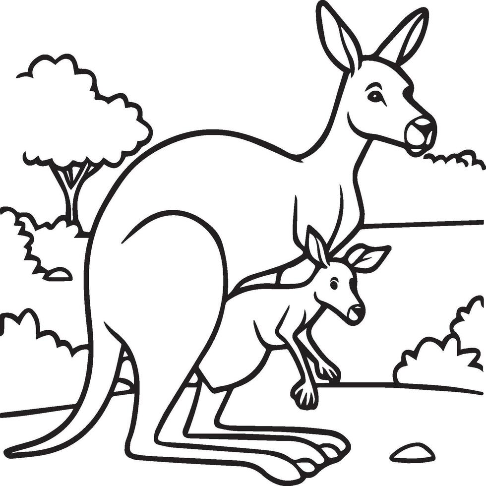 Kangaroo coloring pages. Kangaroo animal outline for coloring book vector