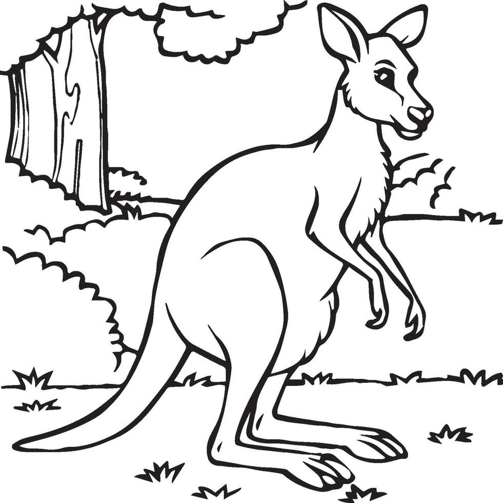 Kangaroo coloring pages. Kangaroo animal outline for coloring book vector