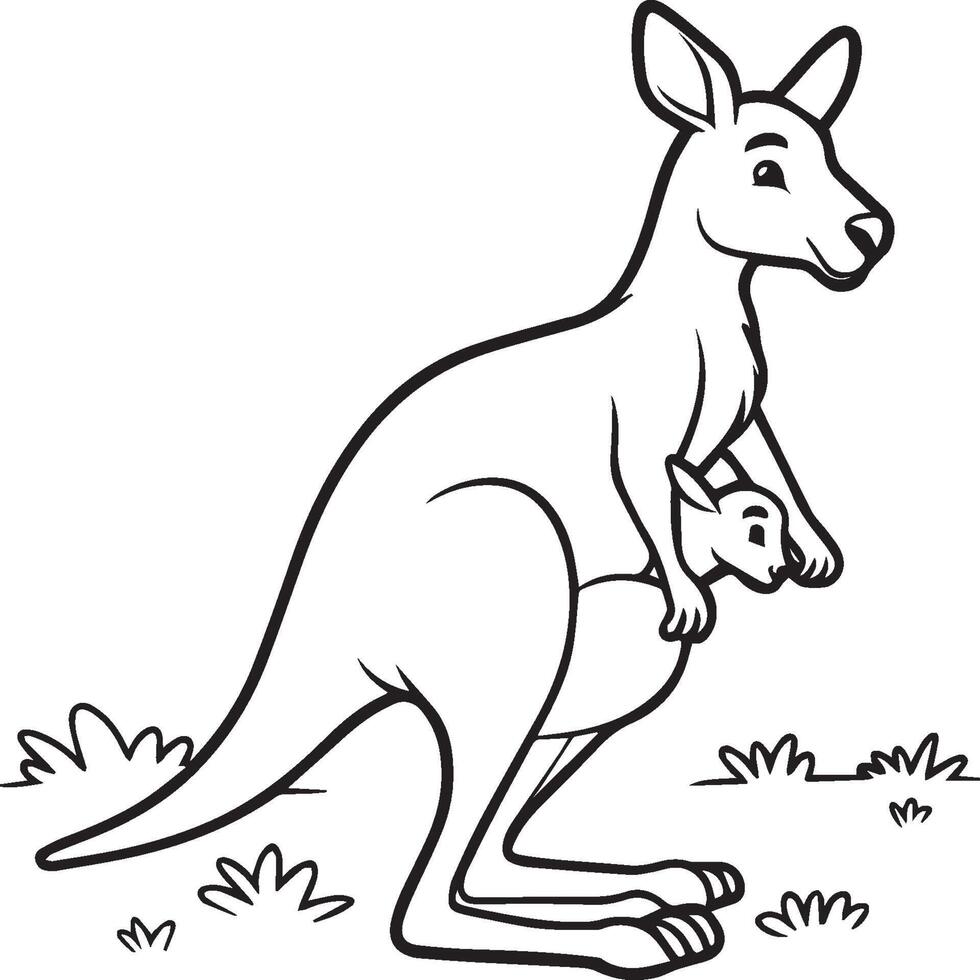 Kangaroo coloring pages. Kangaroo animal outline for coloring book vector