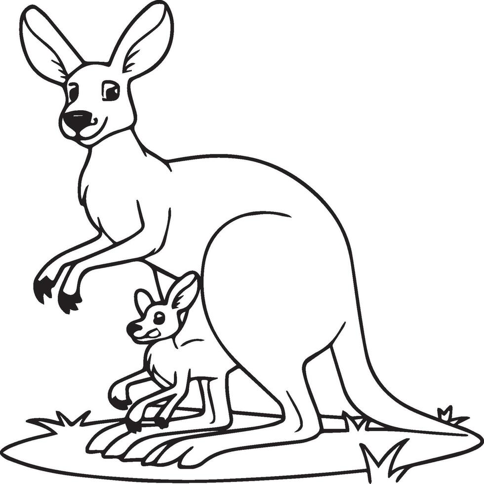 Kangaroo coloring pages. Kangaroo animal outline for coloring book vector