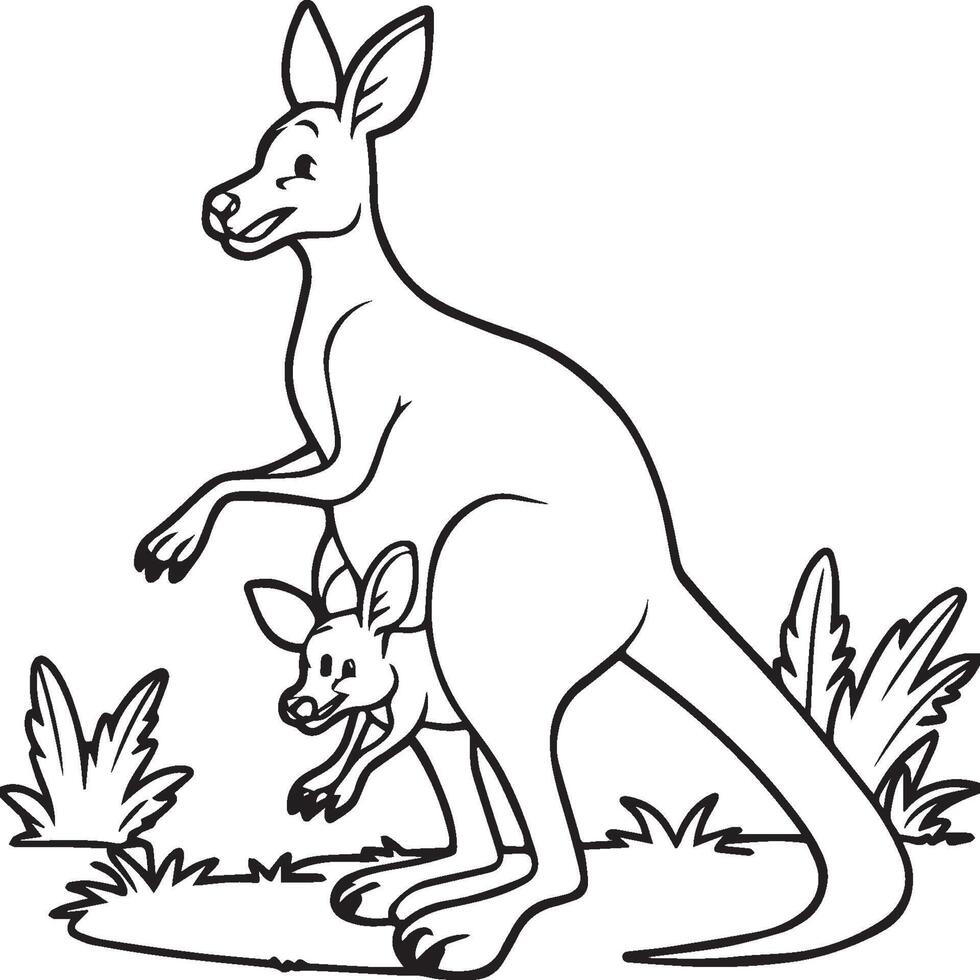 Kangaroo coloring pages. Kangaroo animal outline for coloring book vector