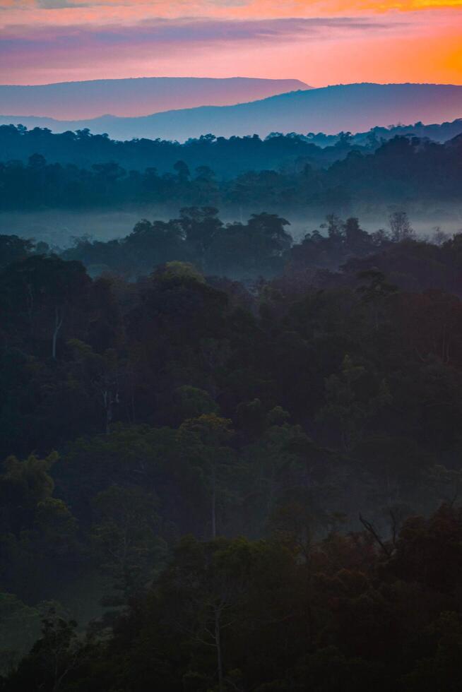 The stunning view from a tourist's standpoint as they go down a hill on a foggy trail with a hill and a background of a golden sky in Forest Park, Thailand. Rainforest. Bird's eye view. Aerial view. photo