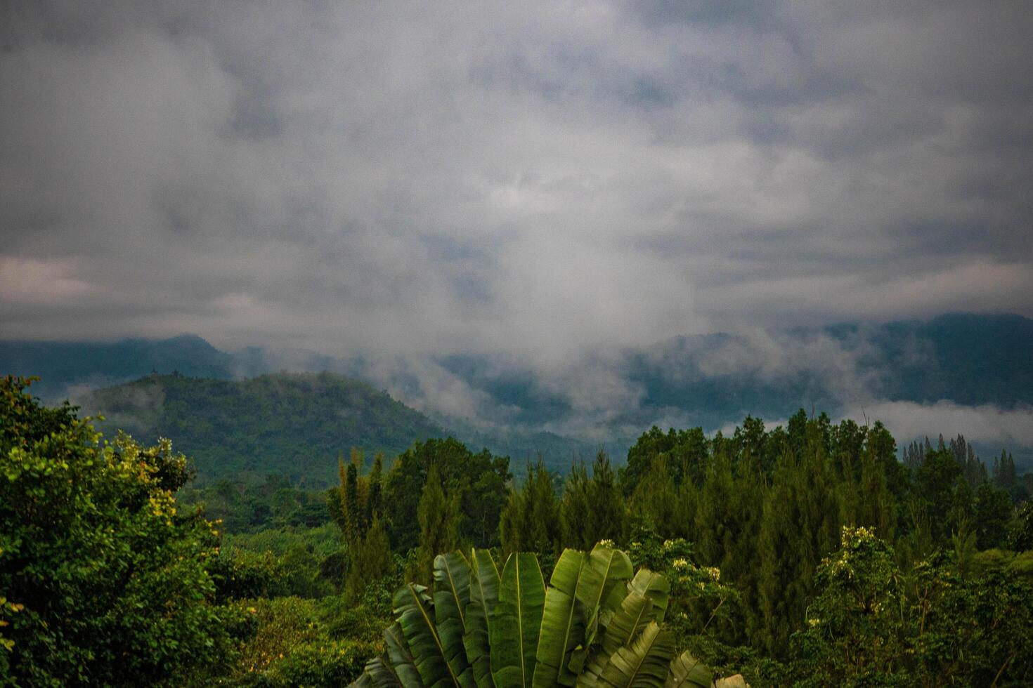 The stunning view from a tourist's standpoint as they go down a hill on a foggy trail with a hill and a background of a golden sky in Forest Park, Thailand. Bird's eye view. Aerial view. photo