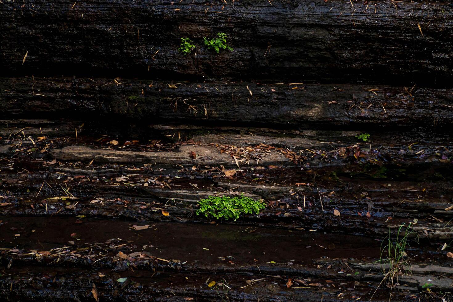 Divided by large cracks and layers, the cliff face is aged and rugged. Text on the subject of geology and mountain climbing with coarse, rough gray stone or rock texture of mountains in the background photo