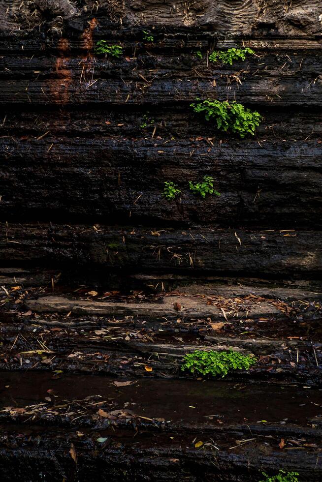 Divided by large cracks and layers, the cliff face is aged and rugged. Text on the subject of geology and mountain climbing with coarse, rough gray stone or rock texture of mountains in the background photo