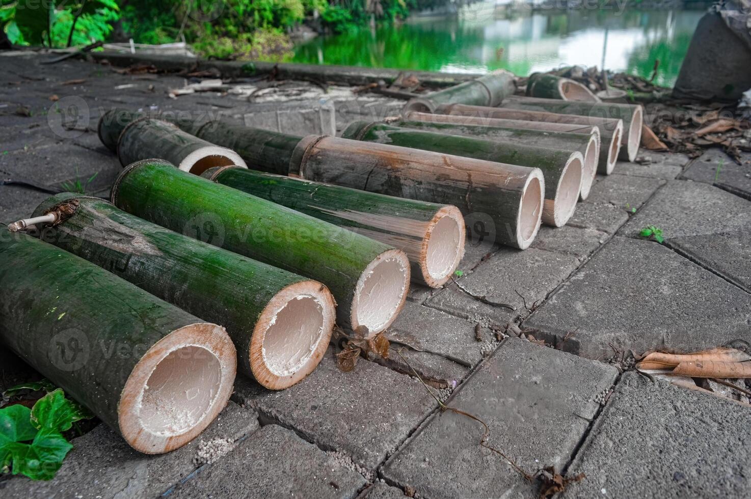 pieces of green bamboo tree trunks in a row photo