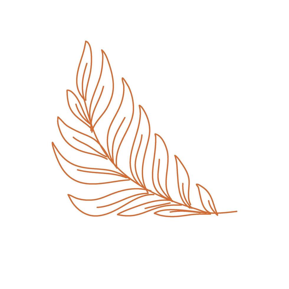 leaves design. hand drawn leaf. branch with leaves. leaf illustration. vector