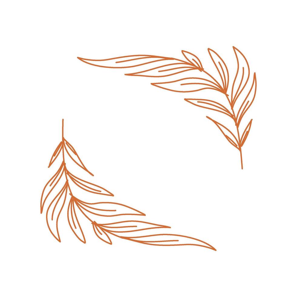 leaves design. hand drawn leaf. branch with leaves. leaf illustration. vector