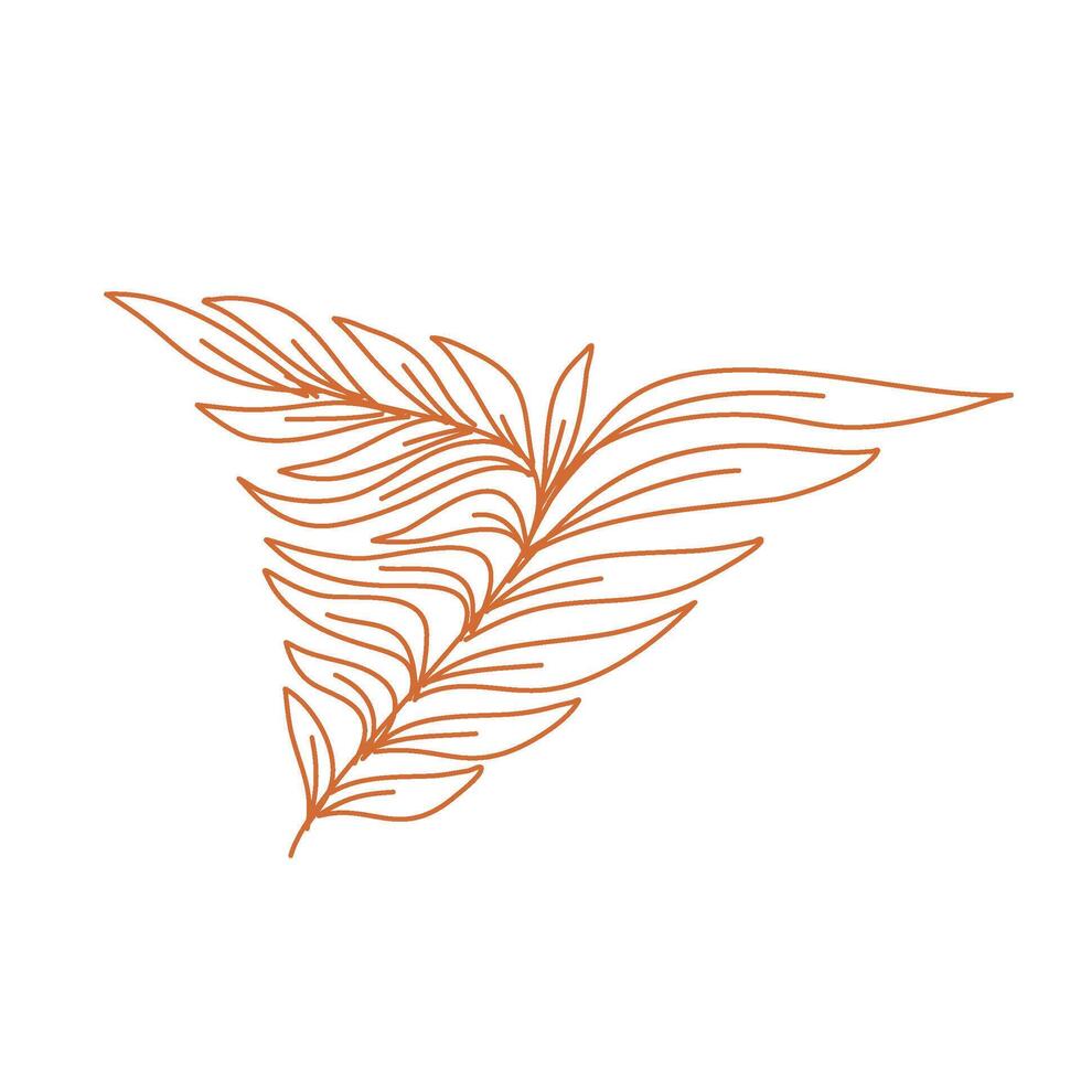 leaves design. hand drawn leaf. branch with leaves. leaf illustration. vector