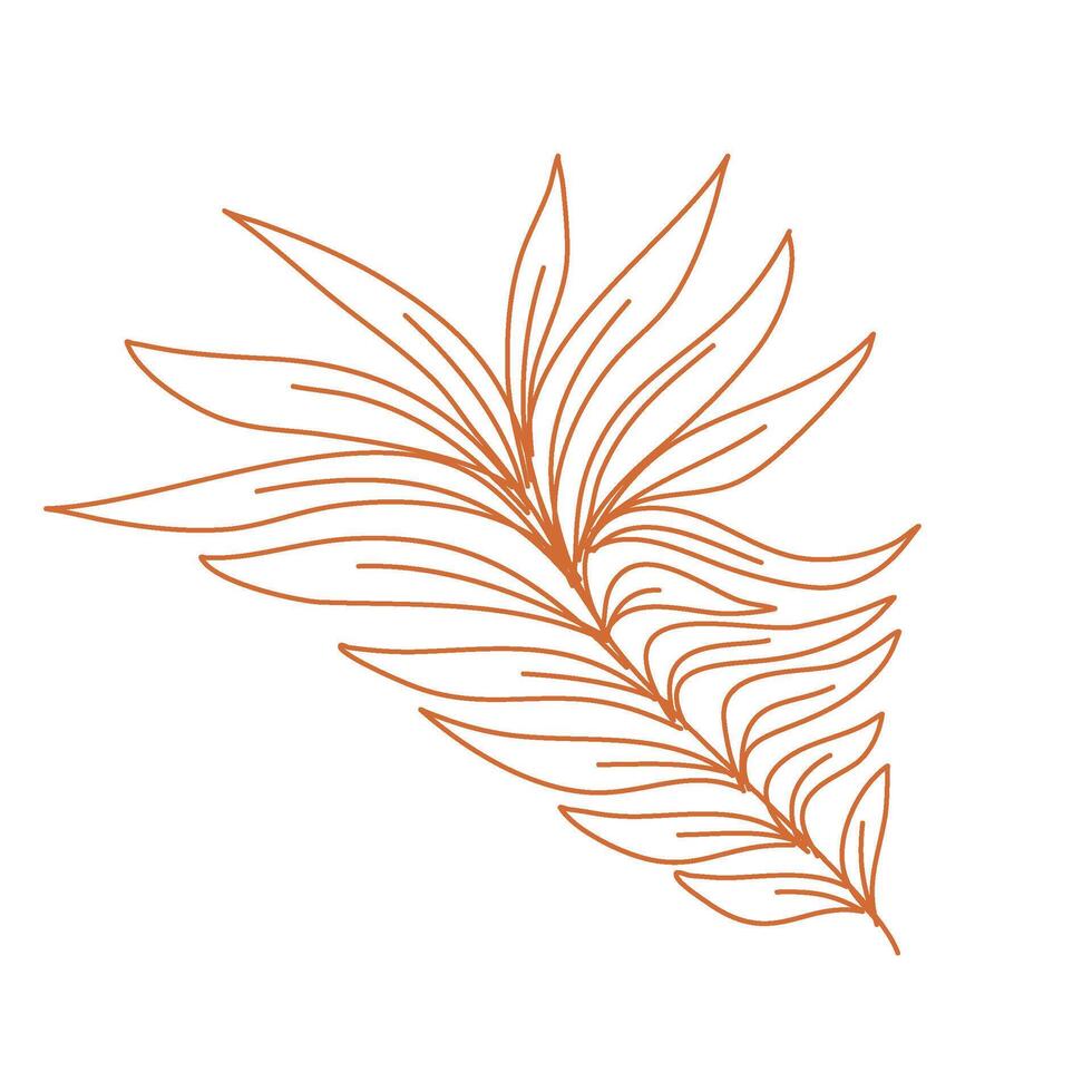 leaves design. hand drawn leaf. branch with leaves. leaf illustration. vector