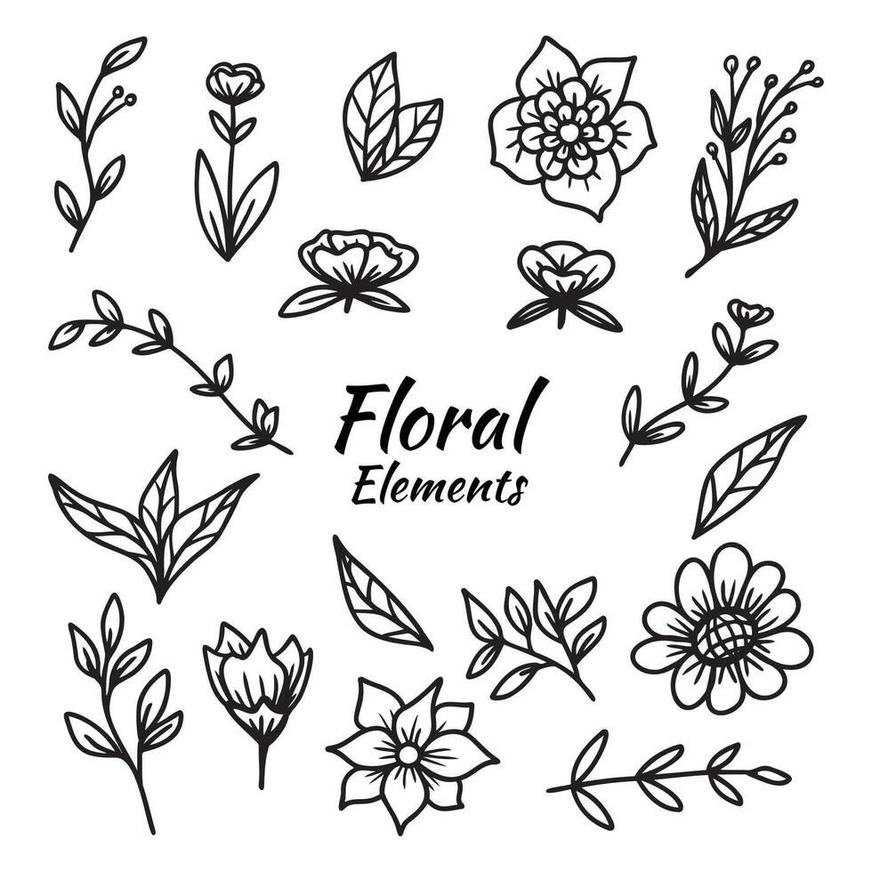 conjunto de mano dibujado hojas y flor decorativo floral elemento vector