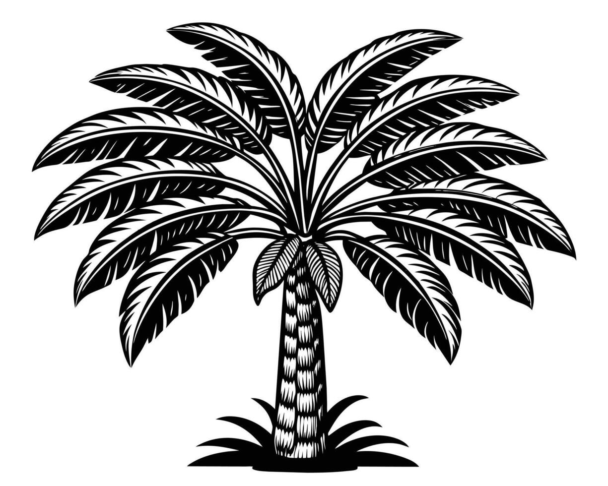 Banana Garden Images vector
