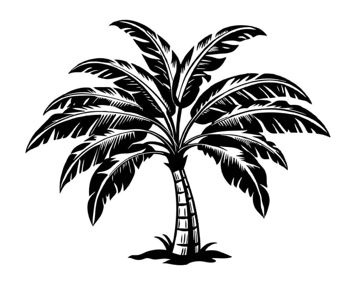 Banana Garden Images vector