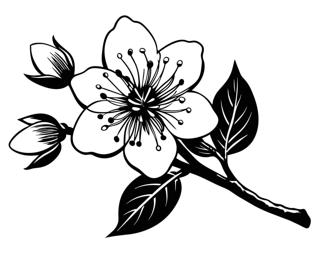 Hand Drawn Flowers on a white background vector