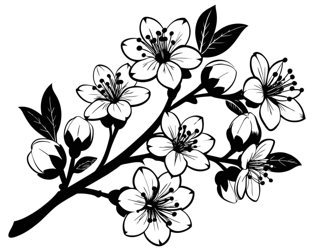Hand Drawn Flowers on a white background vector