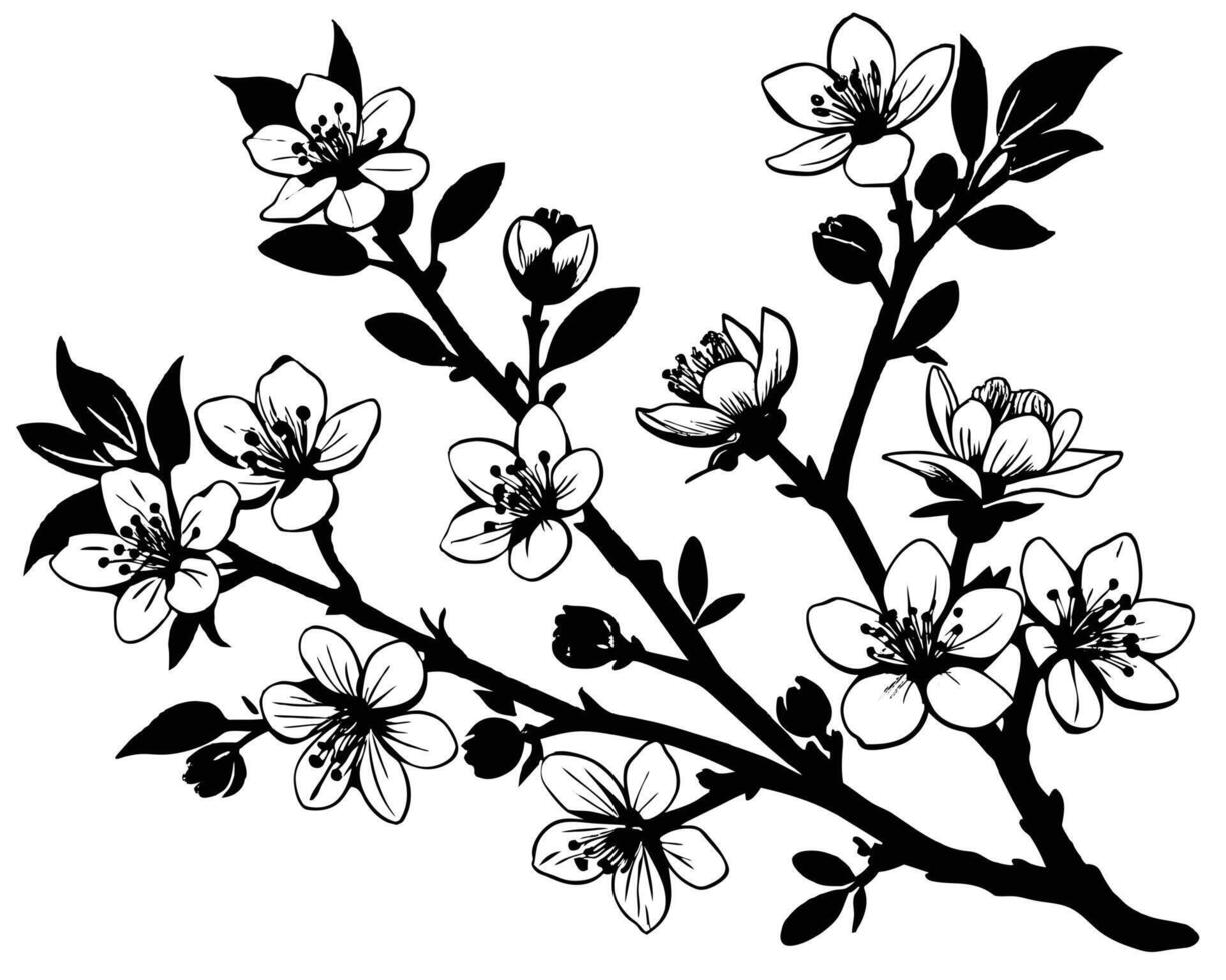 mano dibujado flores en un blanco antecedentes vector