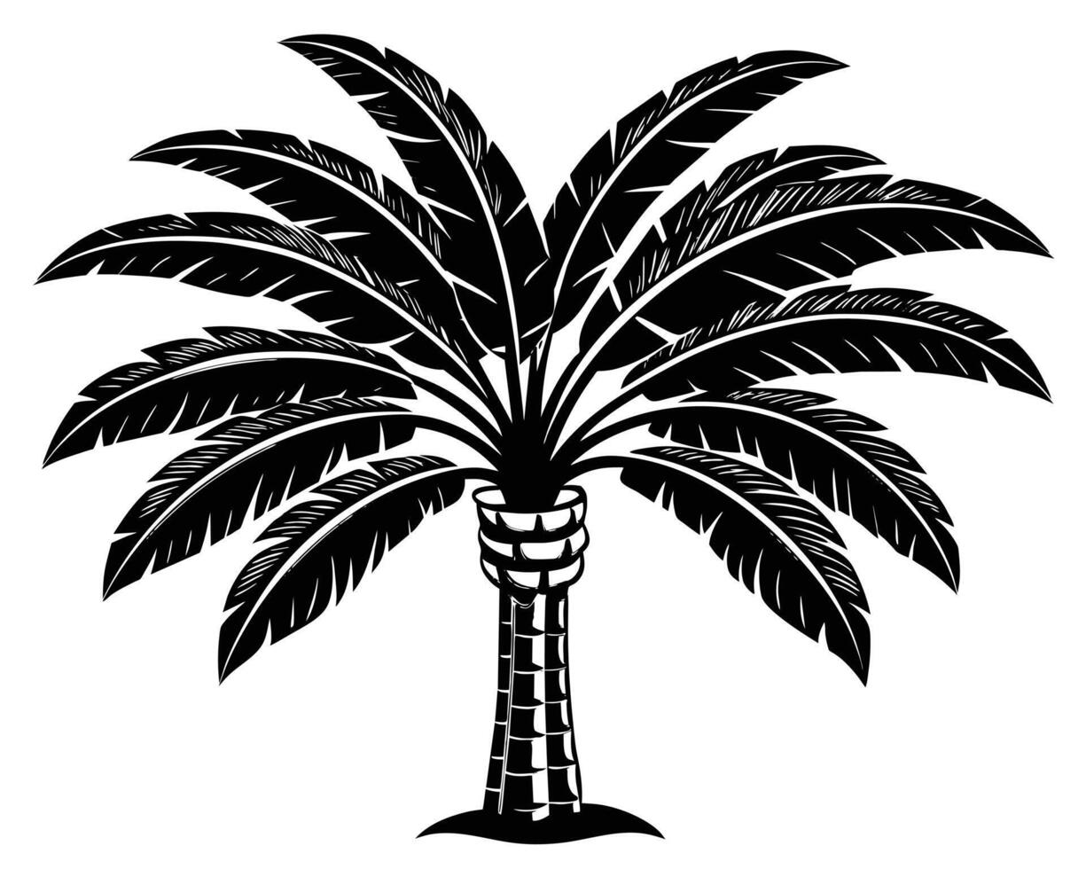Banana Garden Images vector