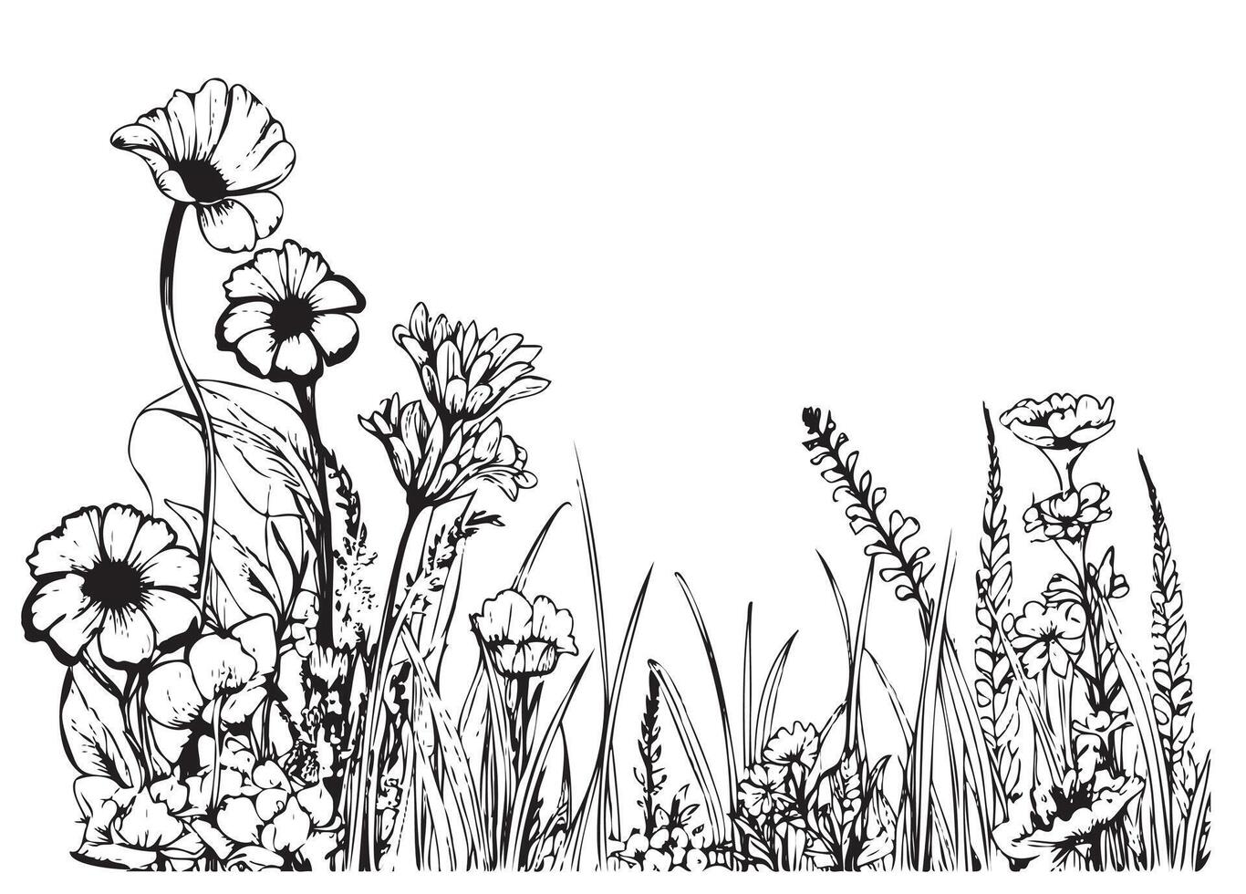 Wild flower field border hand drawn sketch in doodle style illustration vector