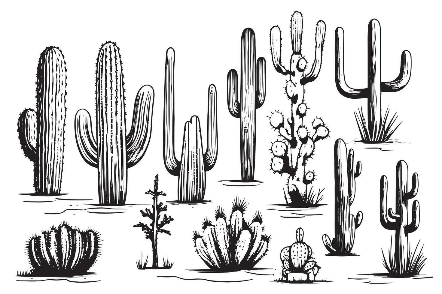 Set of cacti sketch hand drawn illustration Plants vector