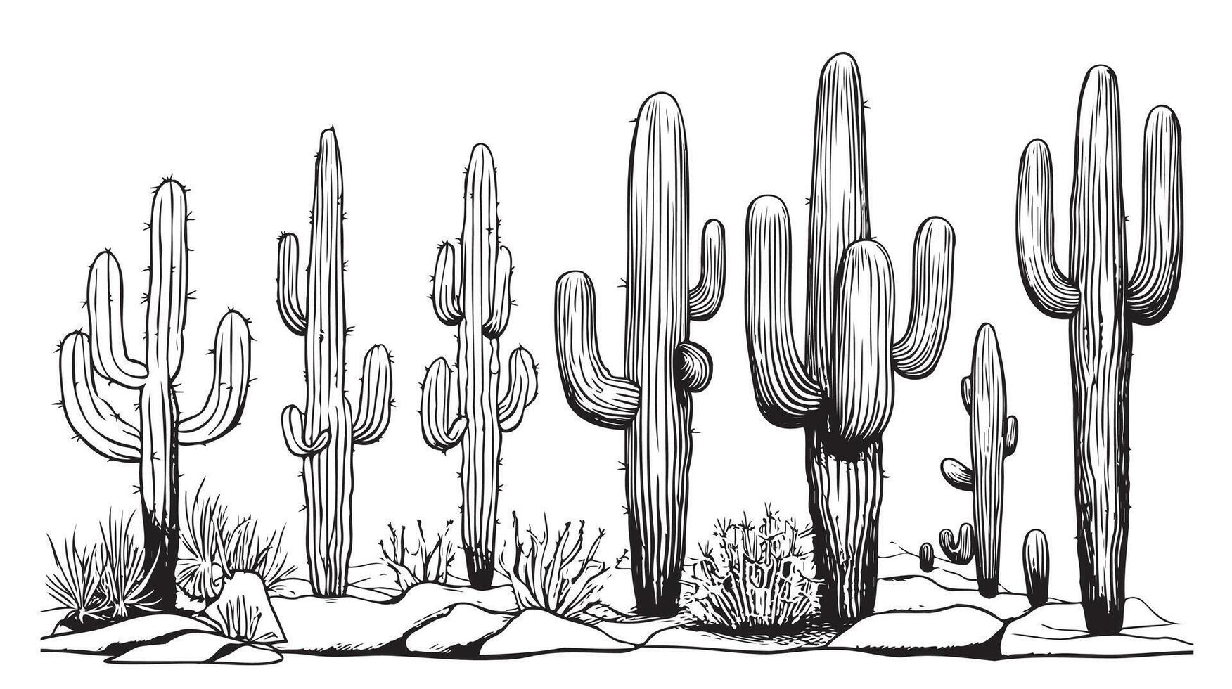 Set of cacti sketch hand drawn Plants vector