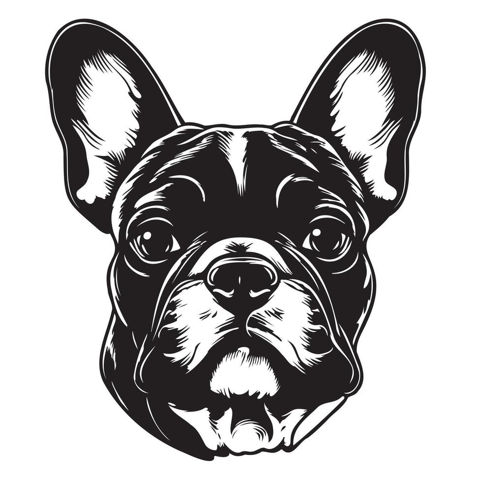 French Bulldog - Hand Drawn. vector