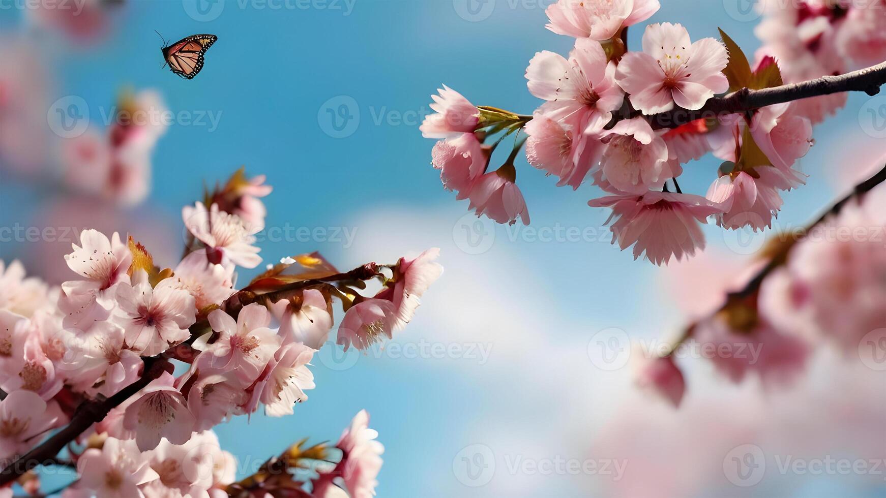 Branches of blossoming cherry on a background of blue sky and butterflies. Pink sakura flowers in springtime. . photo