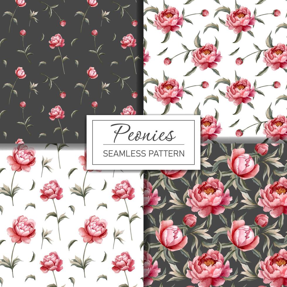 Set of floral backgrounds with watercolor peonies. Hand drawn peony wallpaper. Flower seamless pattern. vector