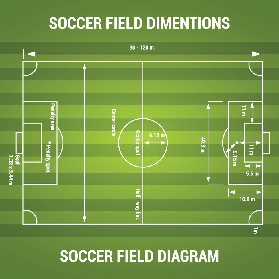 Soccer Stadium with Green Color vector