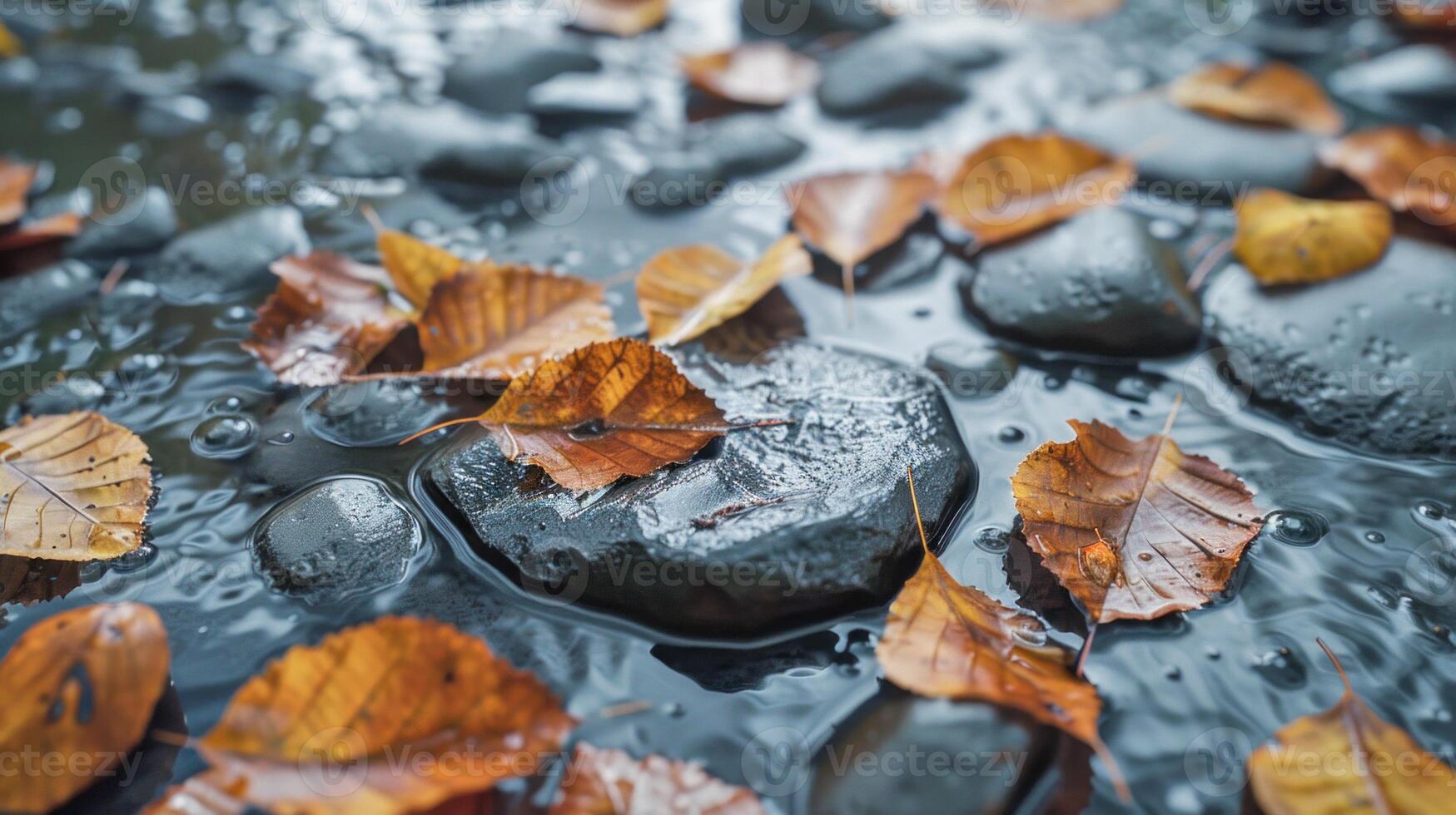Silent autumn leaves and water surface wet with rain. photo